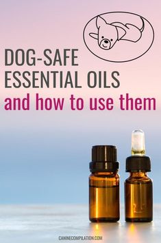 two bottles with dog - safe essential oils and how to use them