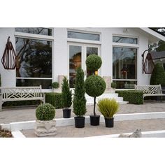 three potted plants sitting in front of a white building with large windows and doors