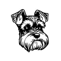 a black and white drawing of a schnauzer dog's head with glasses