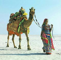 a woman is walking with a camel in the desert