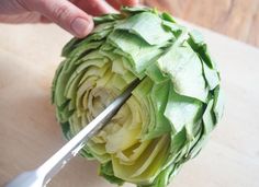 a person cutting up an artichoke with a knife