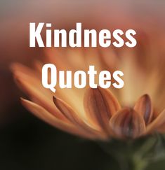 a flower with the words kindness quotes on it