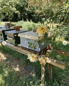 several beehives with flowers growing out of them