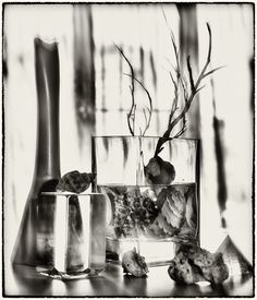 black and white photograph of vases with flowers in them