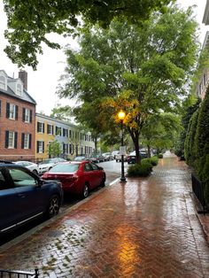 Image of a wet brick sidewalk in georgetown showing parked cars and old colorful buildings during a rainy day. Travel Aesthetic Washington Dc, D.c. Aesthetic, Washington Dc Georgetown, Washing Dc Aesthetic, Washington Dc Home, Washington House Aesthetic, Dc Summer Aesthetic, Washington Dc Apartment Aesthetic