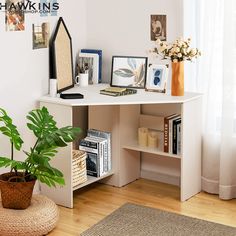 there is a plant and pictures on the shelf