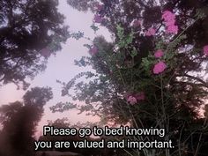 a tree with pink flowers in the foreground and a quote on it that says, please go to bed knowing you are value and important