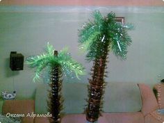 two tall palm trees in vases sitting on a table next to a couch and coffee table