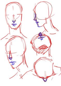 the stages of drawing female head and shoulders