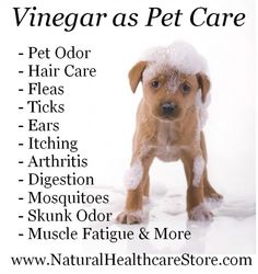 there is a poster with the words vinegar as pet care