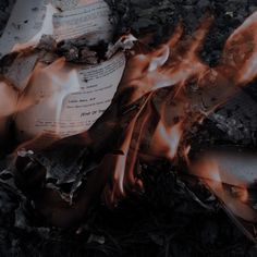 an open book sitting on top of a pile of burnt paper next to a fire