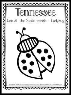 the new hampshire state insect ladybug is shown in this black and white poster