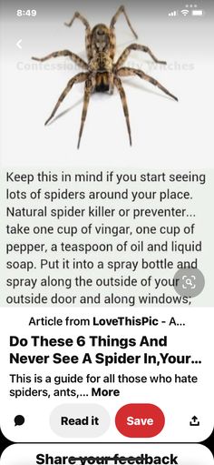 a spider is shown with the caption's description below it, and an image of