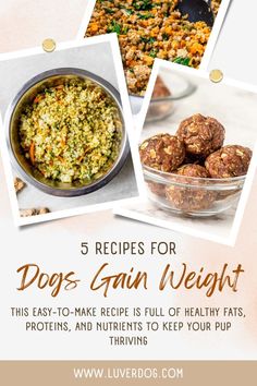 5 Homemade Food For Dogs To Gain Weight Homemade Food For Dogs, Food For Dogs, Homemade Food