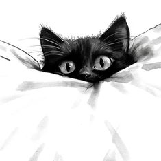 a black cat peeking out from under a white comforter with its eyes wide open