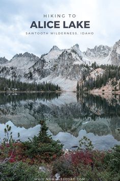 a lake surrounded by mountains and trees with the words hiking to alice lake above it