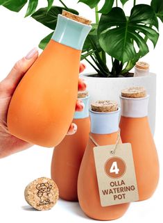 a hand holding an orange bottle next to three bottles and a potted plant on a white background