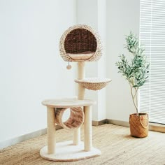 a cat tree in the corner of a room with a potted plant next to it