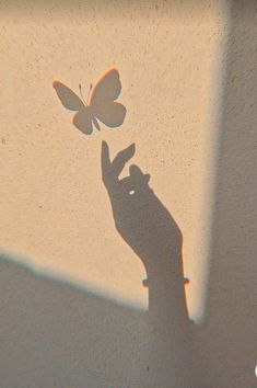 a shadow of a hand reaching for a butterfly on the wall with sunlight coming through it