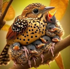 a group of birds sitting on top of a tree branch