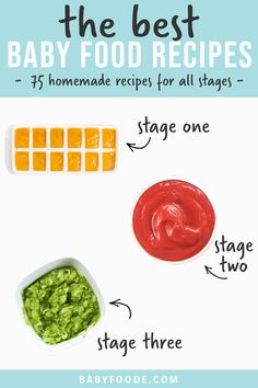 the best baby food recipe for all stages, including sauces and dips to make it