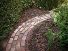 a brick path in the middle of a garden