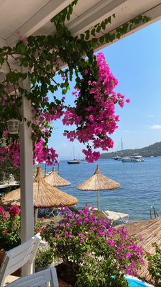 an outdoor area with umbrellas and flowers near the water