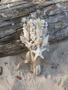 a bouquet of shells and starfish on the beach