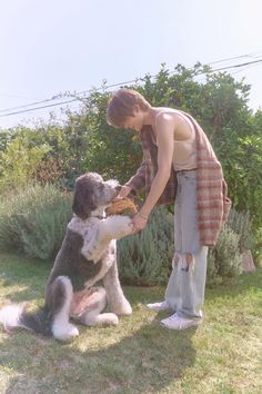 a woman is playing with her dog in the grass near some bushes and shrubs on a sunny day