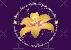 a yellow flower with words written in the center on a purple background, surrounded by stars