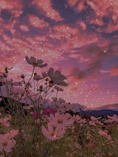 the sky is filled with stars and pink flowers