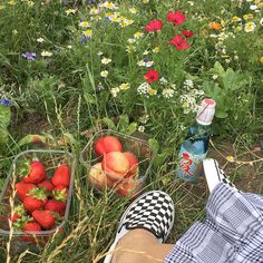 a person laying in the grass next to some strawberries and peaches near flowers