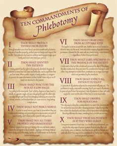 the ten commandments of phlebotomy on parchment paper with scroll and numbers