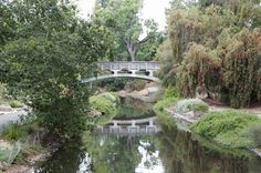 a bridge over a river next to a lush green forest