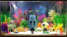 an aquarium filled with lots of different types of plants