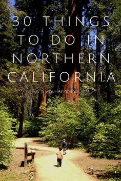 there are many trees and benches in the woods with text overlaying them that reads, 30 things to do in northern california