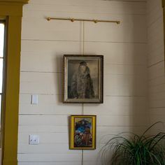 two framed pictures hang on the wall next to a potted plant