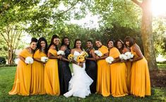 a group of women standing next to each other in front of trees and grass with sun shining on them