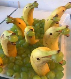 grapes and bananas with faces made to look like birds