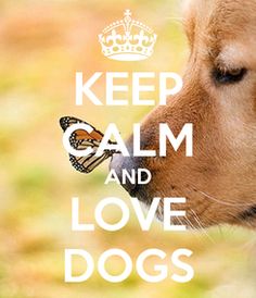 a brown dog with a butterfly on it's nose that says keep calm and love dogs