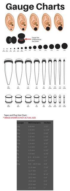 an info sheet showing different types of ear shapes