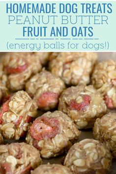 homemade dog treats with fruit and oats