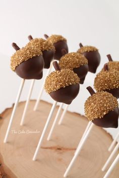 chocolate covered candies are sitting on top of sticks