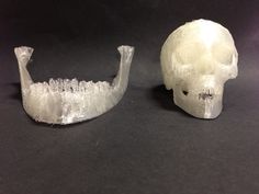 there are two plastic skulls that have been made to look like toothbrushes