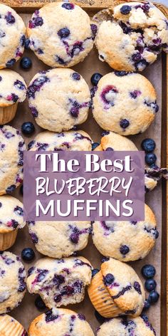 the best blueberry muffins on a baking sheet with text overlay that reads, the best blueberry muffins