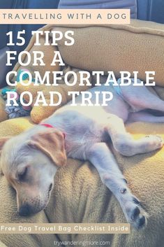 a dog sleeping on top of a car seat with the title 15 tips for a comfortable road trip