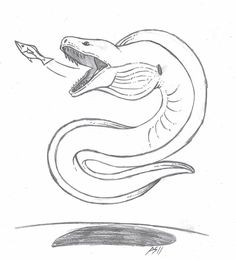 a drawing of a snake with its mouth open