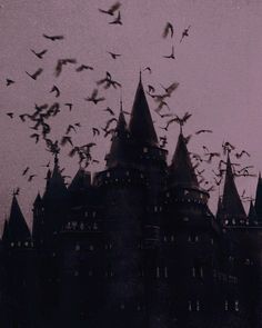 black and white photograph of birds flying over a castle with turrets in the dark sky