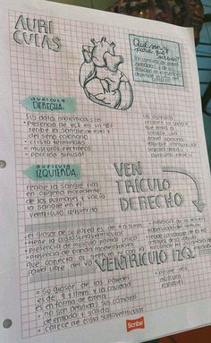 a piece of paper that has some writing on it with words in spanish and english