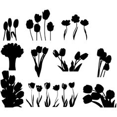 black and white silhouettes of flowers on a white background, each with different stems